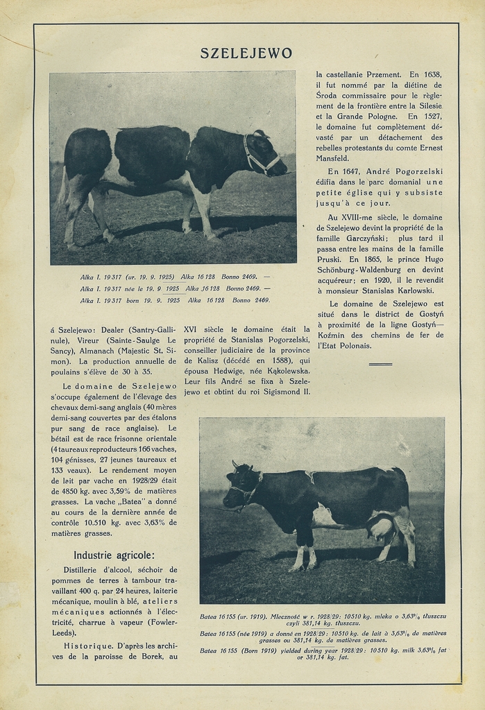 185 szelejewo.jpg
